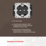 Розетка двойная с заземлением, 16A 250V 203.40-2.black от ImperiumLoft