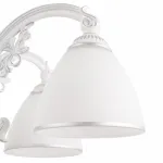 Подвесная люстра Arte Milano AM341837 341837/6 WT+SL