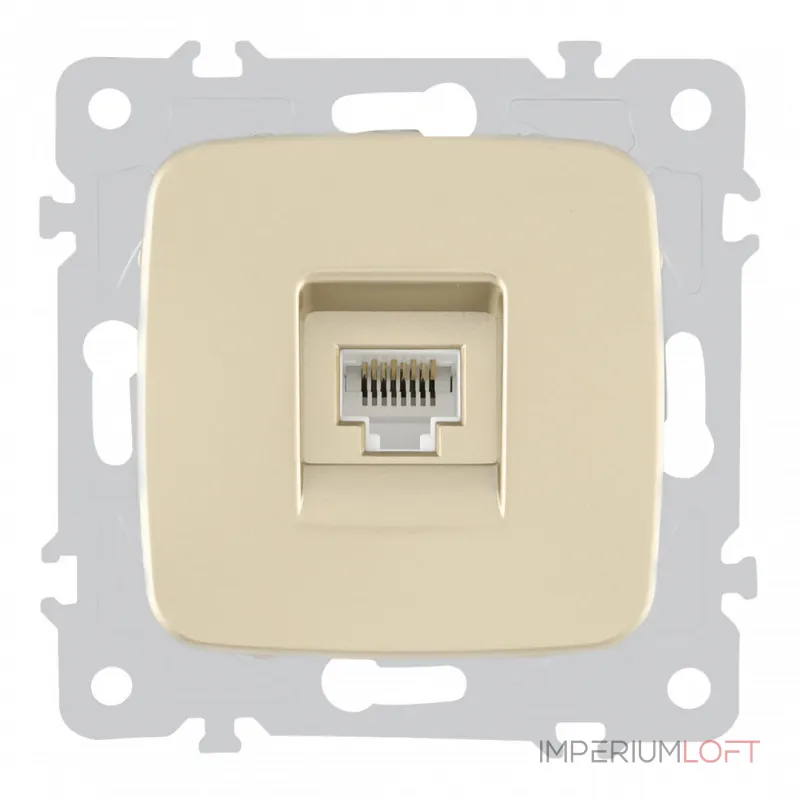 Розетка интернет, RJ45 205.45-1.shampan