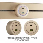 Трековая розетка, 3.1A 250V 399731TS/USB-Type-C Gold от ImperiumLoft