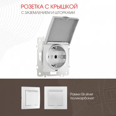 Розетка с заземлением, шторками и защитной крышкой, 16A 250V 206.41-1.silver Розетка с заземлением, шторками и защитной крышкой, 16A 250V 206.41-1.silver
