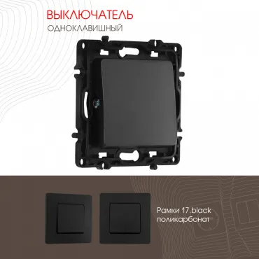 Выключатель одноклавишный, 10AX 250V 217.30-1.black