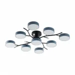 Светильник светодиодный Arte Milano Ferrara 256606/8+1 Bk/Gr