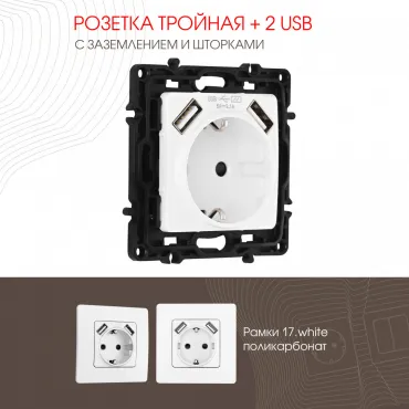 Розетка с заземлением, шторками + 2 USB, 16A 250V, USB DC 5V 2.1A 217.47-1.white