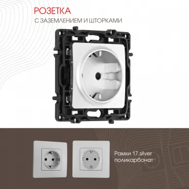 Розетка с заземлением и шторками, 16A 250V 217.40-1.silver