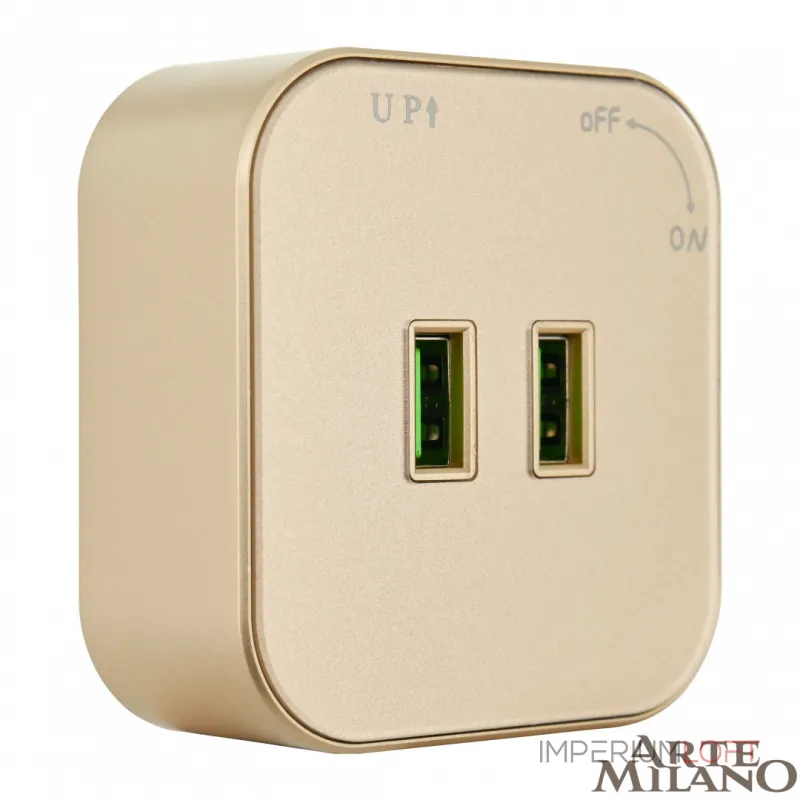 Трековая розетка, 2.1A 250V 380022TS/USBx2 Gold от ImperiumLoft Трековая розетка, 2.1A 250V 380022TS/USBx2 Gold от ImperiumLoft