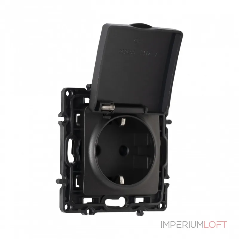 Розетка с заземлением, шторками и защитной крышкой, 16A 250V 217.41-1.black
