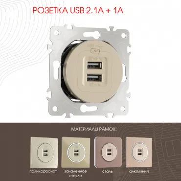 Розетка USB 2.1А+1А 202.46-1.shampan