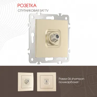 Розетка, SAT TV 206.42-1.shampan Розетка, SAT TV 206.42-1.shampan