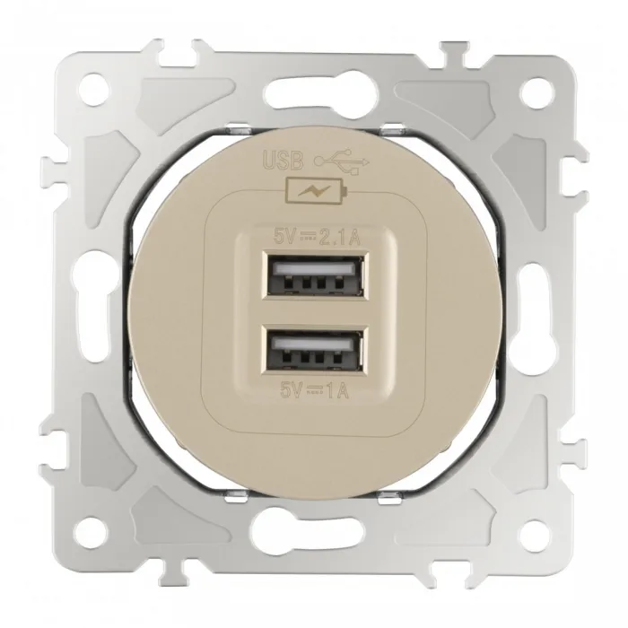 Розетка USB 2.1А+1А 202.46-1.shampan от ImperiumLoft