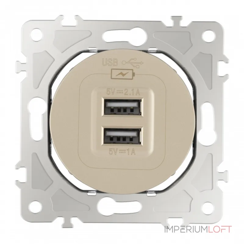 Розетка USB 2.1А+1А 202.46-1.shampan