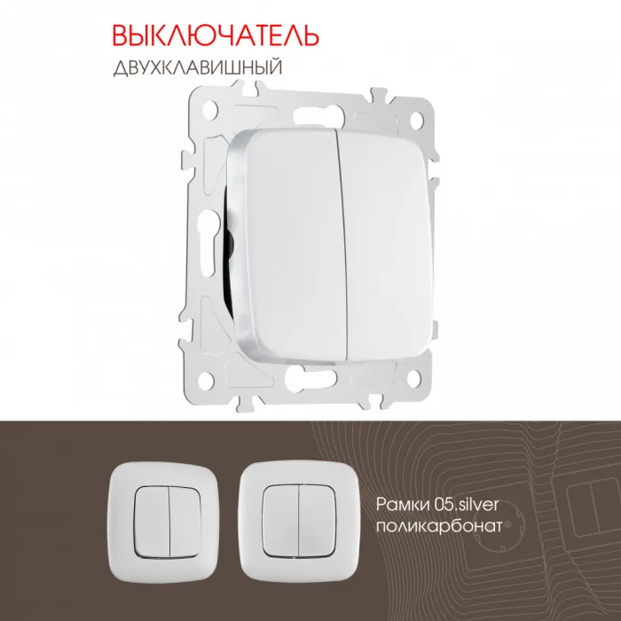 Выключатель двухклавишный, 10AX 250V 205.30-2.silver от ImperiumLoft