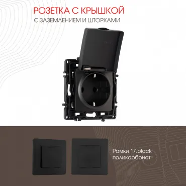 Розетка с заземлением, шторками и защитной крышкой, 16A 250V 217.41-1.black