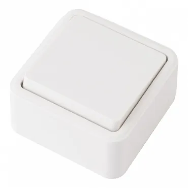 Выключатель одноклавишный, 10AX 250V 310.30-1.white