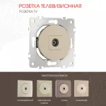 Розетка TV 202.43-1.shampan