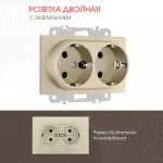 Розетка двойная с заземлением, 16A 250V 206.40-2.shampan