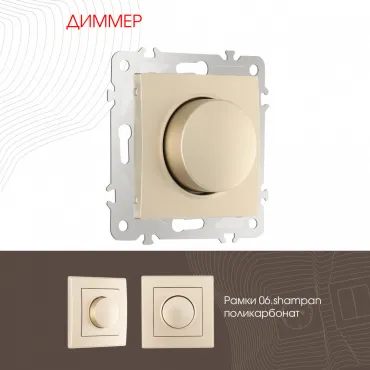 Диммер, 500W 206.48-1.shampan