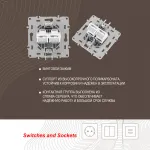 Розетка RJ45 х 2 217.45-2.silver