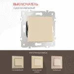 Выключатель одноклавишный, 10AX 250V 203.30-1.shampan от ImperiumLoft