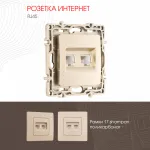 Розетка RJ45 х 2 217.45-2.shampan