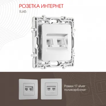 Розетка RJ45 х 2 217.45-2.silver