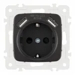 Розетка с заземлением, шторками + 2 USB, 16A 250V, USB DC 5V 2.1A 205.47-1.black