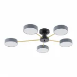 Светильник светодиодный Arte Milano Ferrara 252006/5 Bk/Gr от ImperiumLoft