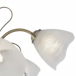 Подвесная люстра Arte Milano Amalfi-2656 335656/5 AB