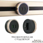 Трековая розетка, 2.1A 250V 380066TS LED/USBx2 Gold