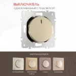 Выключатель одноклавишный с подсветкой, 10AX 250V 202.31-1.shampan от ImperiumLoft