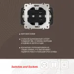 Розетка двойная с заземлением, 16A 250V 205.40-2.shampan