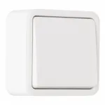 Выключатель одноклавишный, 10AX 250V 310.30-1.white