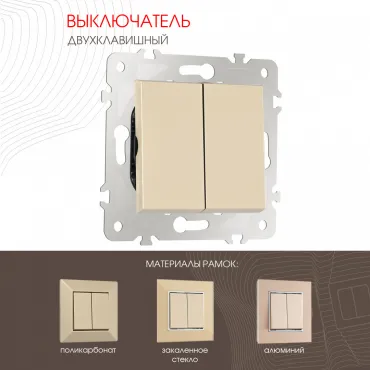 Выключатель двухклавишный, 10AX 250V 203.30-2.shampan