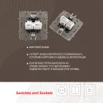 Розетка RJ45 х 2 217.45-2.shampan