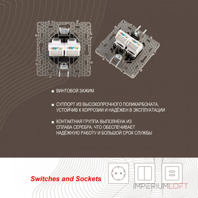 Розетка RJ45 х 2 217.45-2.shampan