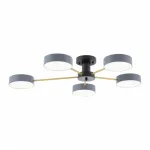 Светильник светодиодный Arte Milano Ferrara 252006/5 Bk/Gr от ImperiumLoft