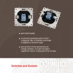 Розетка интернет RJ45 203.45-1.black