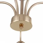Люстра Arte Milano Napoli-325410 325410/5 FG+WH от ImperiumLoft