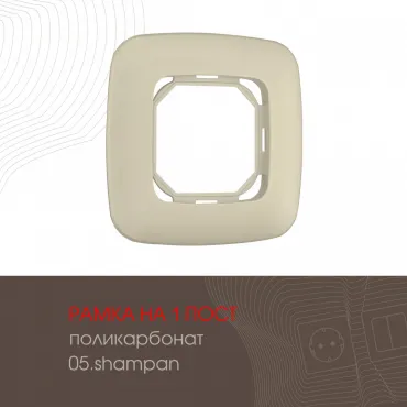 Рамка из поликарбоната на 1 пост 505.05-1.shampan Рамка из поликарбоната на 1 пост 505.05-1.shampan