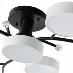 Светильник светодиодный Arte Milano Ferrara 256606/6+1 Bk/Wh