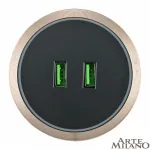 Трековая розетка, 2.1A 250V 380066TS LED/USBx2 Gold