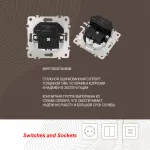 Розетка с заземлением, шторками + 2 USB, 16A 250V, USB DC 5V 2.1A 206.47-1.white