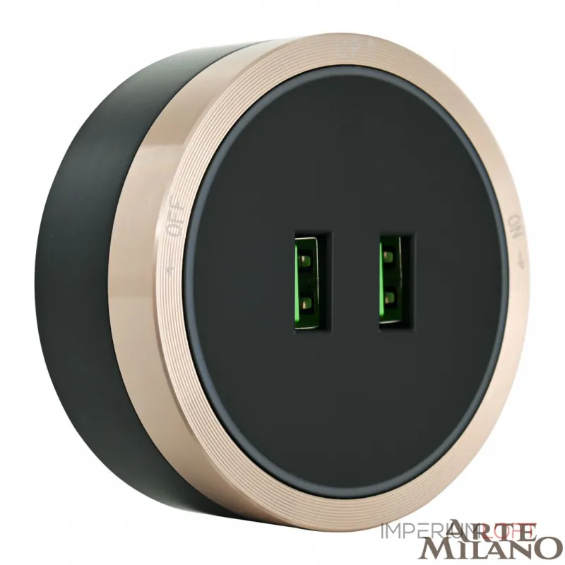 Трековая розетка, 2.1A 250V 380066TS LED/USBx2 Gold от ImperiumLoft Трековая розетка, 2.1A 250V 380066TS LED/USBx2 Gold от ImperiumLoft