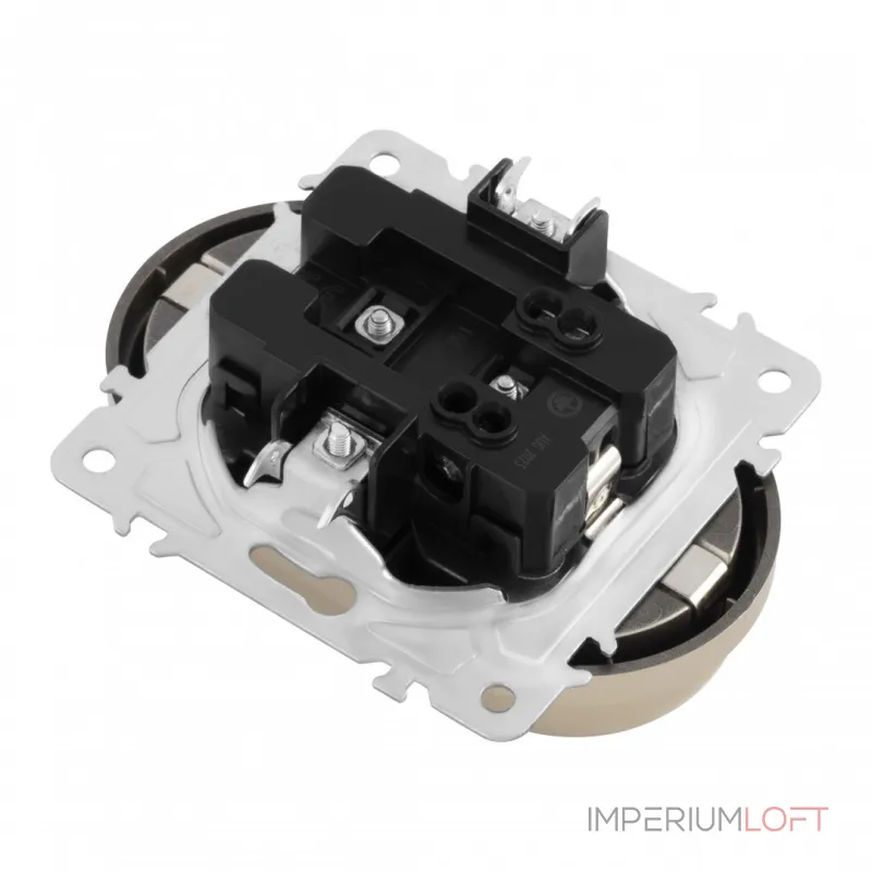 Розетка двойная с заземлением, 16A 250V 202.40-2.shampan