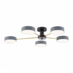 Светильник светодиодный Arte Milano Ferrara 252006/5 Bk/Gr от ImperiumLoft