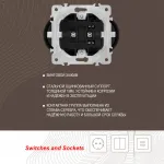 Розетка двойная с заземлением, 16A 250V 202.40-2.shampan