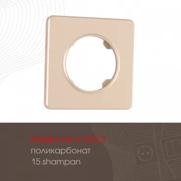 Рамка из поликарбоната на 1 пост 502.15-1.shampan Рамка из поликарбоната на 1 пост 502.15-1.shampan