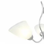 Подвесная люстра Arte Milano Amalfi-5816 335816/3 CR
