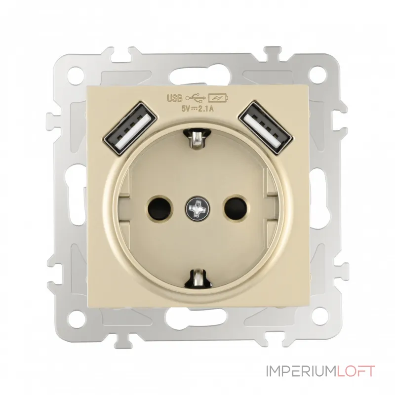Розетка с заземлением, шторками + 2 USB, 16A 250V, USB DC 5V 2.1A 206.47-1.shampan от ImperiumLoft Розетка с заземлением, шторками + 2 USB, 16A 250V, USB DC 5V 2.1A 206.47-1.shampan от ImperiumLoft