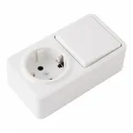 Розетка с заземлением и шторками + выключатель одноклавишный, 10AX 250V, 16A 250V 310.52-1.white от ImperiumLoft